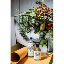 Load image into Gallery viewer, Koala Eco Natural Glass Cleaner Peppermint Essential Oil - 1L Refill