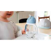Load image into Gallery viewer, Beaba Straw Cup 300ml