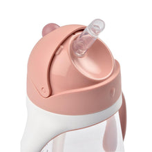 Load image into Gallery viewer, Beaba Straw Cup 300ml