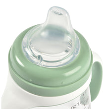 Load image into Gallery viewer, Beaba 2-in-1 Bottle to Sippy Learning Cup 210ml