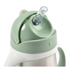 Load image into Gallery viewer, Beaba Stainless Steel Straw Cup 250ml