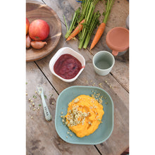 Load image into Gallery viewer, Beaba Silicone Suction Meal Set