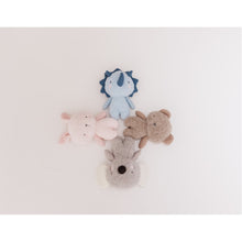 Load image into Gallery viewer, Bubble Beanie the Bear