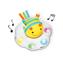 Load image into Gallery viewer, 30511969