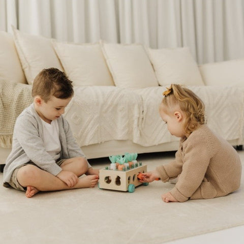 Educational Toys