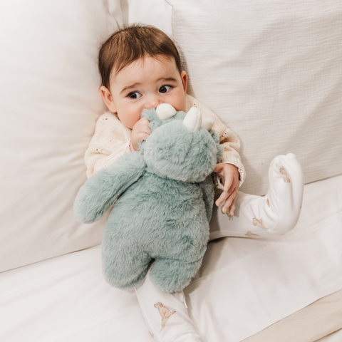 Plush Toys