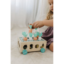 Load image into Gallery viewer, Bubble Wooden Vegetable Garden
