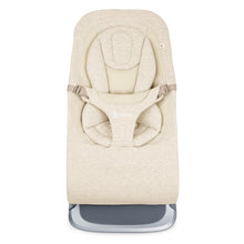 Load image into Gallery viewer, Ergobaby Evolve 3 in 1 Bouncer

