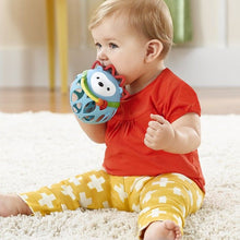 Load image into Gallery viewer, Skip Hop Explore &amp; More Roll Around Rattle
